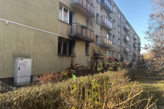 Pożar mieszkania na parterze. Strażacy z ognia wynieśli przerażonego kota