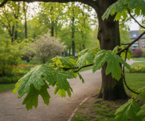 Weekend w Białymstoku z dużą zmianą pogody. Zacznie się chłodno, a skończy na 20 stopniach