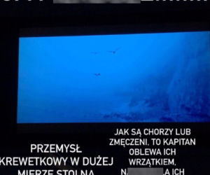 Kamila Wybrańczyk o połowie krewetek