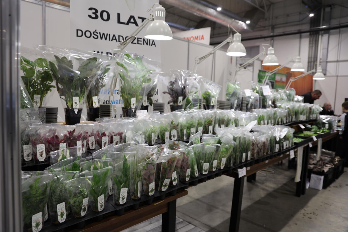 Zoopark 2024 w Lublinie. Można podziwiać wiele gatunków zwierząt