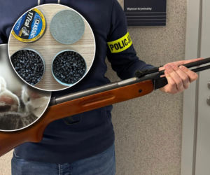 67-latek zastrzelił kota z wiatrówki. Tłumaczył, że „chciał go tylko nastraszyć”