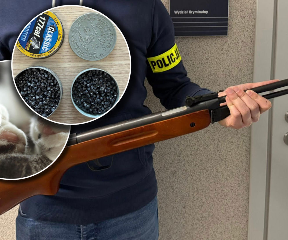 67-latek zastrzelił kota z wiatrówki. Tłumaczył, że „chciał go tylko nastraszyć”