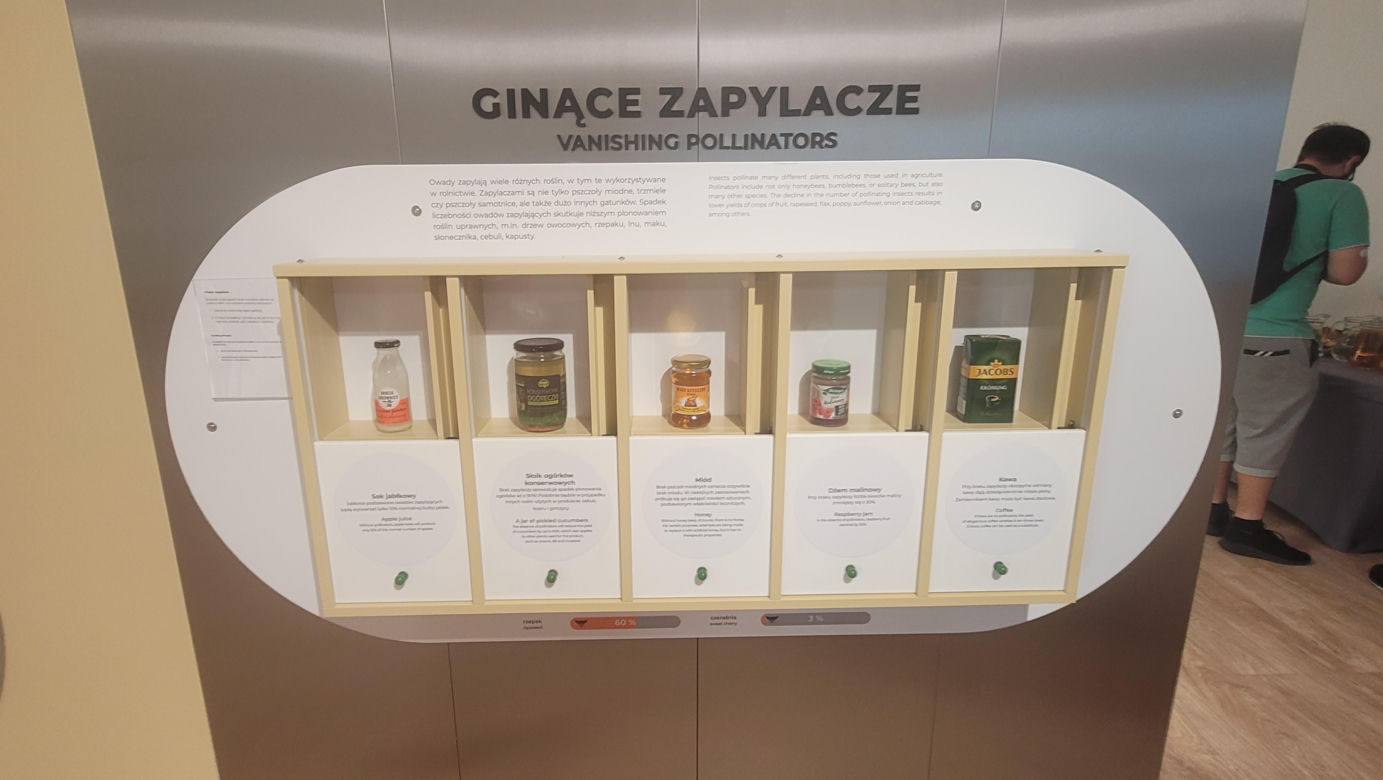 Wielkie otwarcie Centrum Nauki „Kortosfera”. „Jesteśmy dla wszystkich” [ZDJĘCIA]