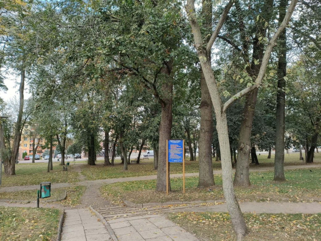 Blisko 12 milionów złotych na tereny zielone w Łomży. Zmiany zajdą na terenie Parków Ludowego, Jakuba Wagi i przy ulicy Katyńskiej