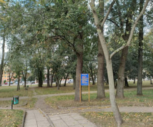 Blisko 12 milionów złotych na tereny zielone w Łomży. Zmiany zajdą na terenie Parków Ludowego, Jakuba Wagi i przy ulicy Katyńskiej
