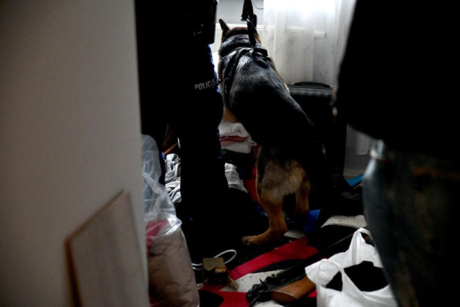 Policja weszła do kilkunastu mieszkań. Wielka akcja służb w Podlaskiem