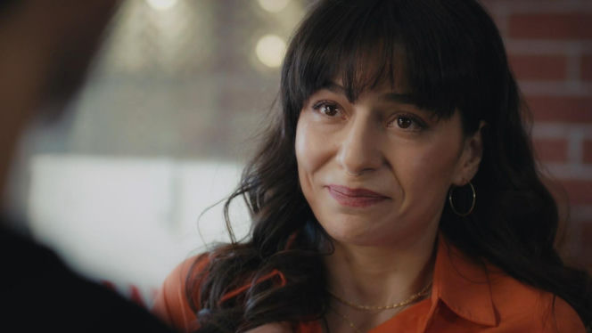 Dziedzictwo, odc. 883. Poyraz, Sibel