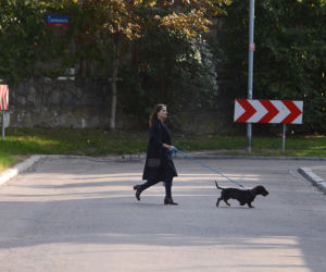 Monika Jaruzelska z psem