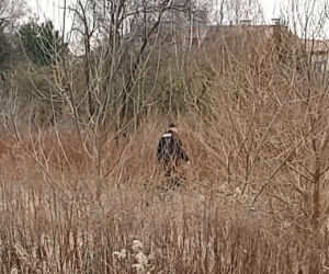Porwanie kobiety i jej dziecka w Białymstoku. Jest akt oskarżenia
