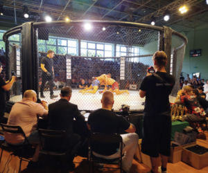 Fotorelacja z Gali Sportów Walki Taurus Fight Arena 2026 w Siedlcach