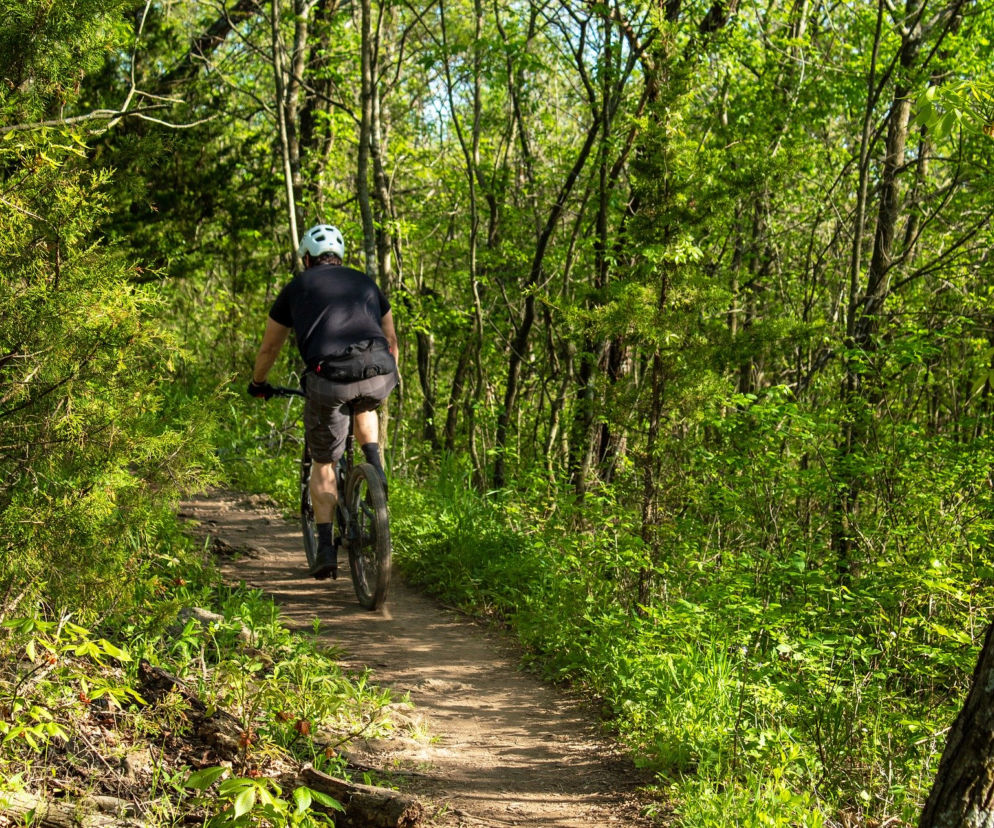 rower szlak rowerowy single track dolny śląsk