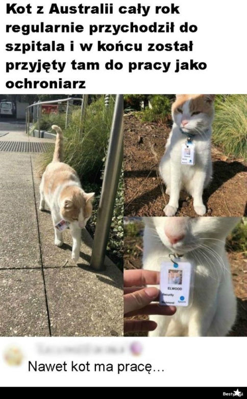 Memy o pracy