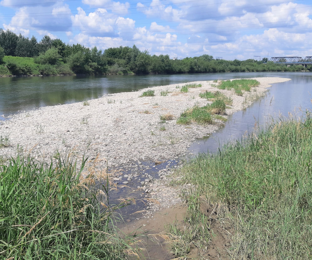 Plaża nad Dunajcem