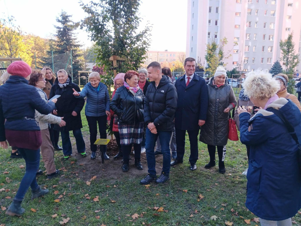 Danusia, Halinka, Linkus, Seniorita i Stasiu zapuszczają korzenie. Nowe nasadzenia w Lesznie