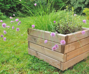 Rośliny w drewnianej skrzyni