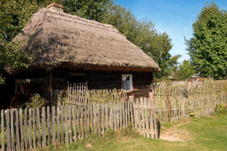 Dziekanowice w Wielkopolsce