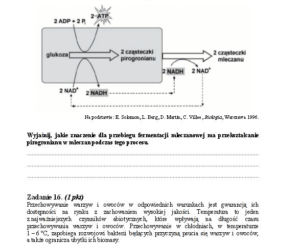 Matura 2013 biologia p. rozszerzony