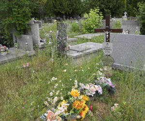 Straszny widok na grobie Barbary Sienkiewicz