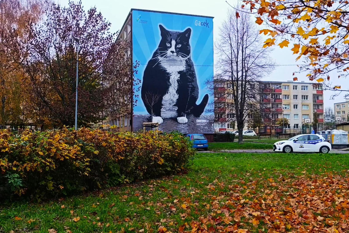 Mural z kotem Gackiem już odsłonięty