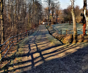 Bieg Tropem Wilczym ku chwale Żołnierzy Wyklętych