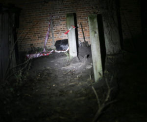 Zakopała za domem, czwarte wrzuciła do pieca