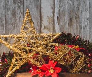 To nieodłączny symbol Bożego Narodzenia. Niewielu wie, że jest toksyczna