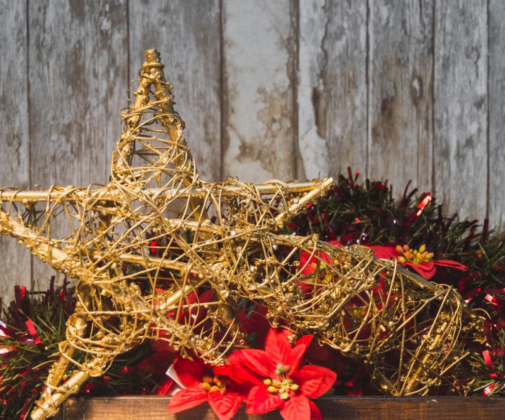 To nieodłączny symbol Bożego Narodzenia. Niewielu wie, że jest toksyczna