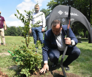 Park Śląski: AKCJA 1327 DRZEW