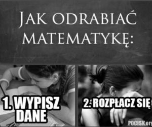 MEMY maturalne
