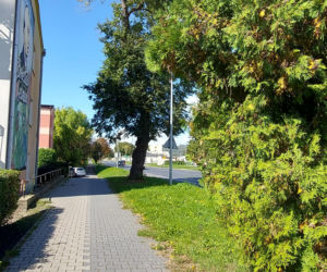 ul. Peowiaków w Zamościu