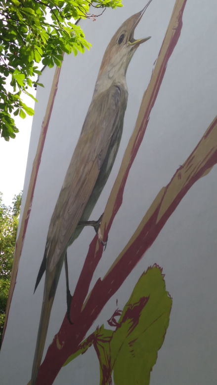 Ptasie murale na Kozłówku