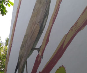 Ptasie murale na Kozłówku