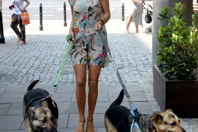 Joanna Krupa chce pomóc psom!
