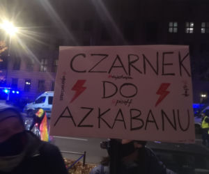 Protesty kobiet 9.11.2020. Manifestacje przed MEN