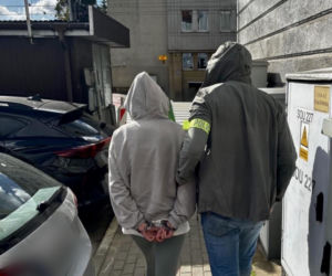 Łupem złodziei padały naturalne włosy wykorzystywane do przedłużania fryzur, a łączne straty przekroczyły milion złotych