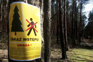 Zakaz wstępu do lasu. To nie przez pandemię. Leśnicy alarmują
