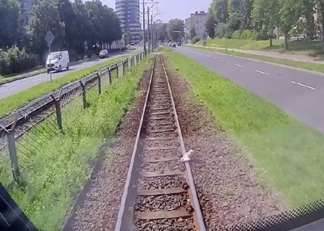 Motornicza uratowała mewę