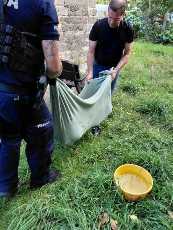 Dramatyczna interwencja Pet Patrol Rybnik. Pies konał w samotności