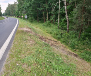 Jamnica. To tu zginęli rodzice trójki dzieci. Makabryczny wypadek pod Stalową Wolą