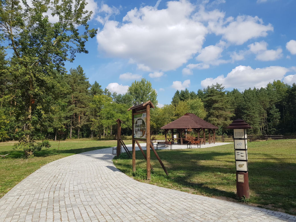 Wieża widokowa w Uhowie. To najwyższa wieża na Podlasiu [ZDJĘCIA]