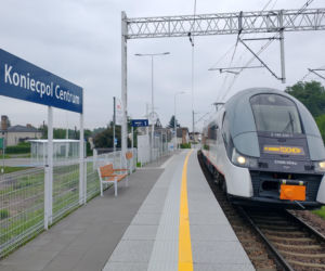 To miasto jest jednym z najpiękniejszych na Śląsku. Zachwyca unikatowym pałacem w województwie