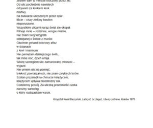 Matura polski rozszerzony 2021 - arkusz CKE