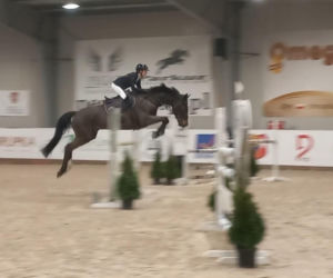 Mistrzostwa i Puchar Polski w Lesznie. Na małych i dużych koniach