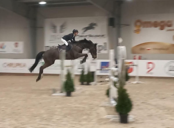 Mistrzostwa i Puchar Polski w Lesznie. Na małych i dużych koniach