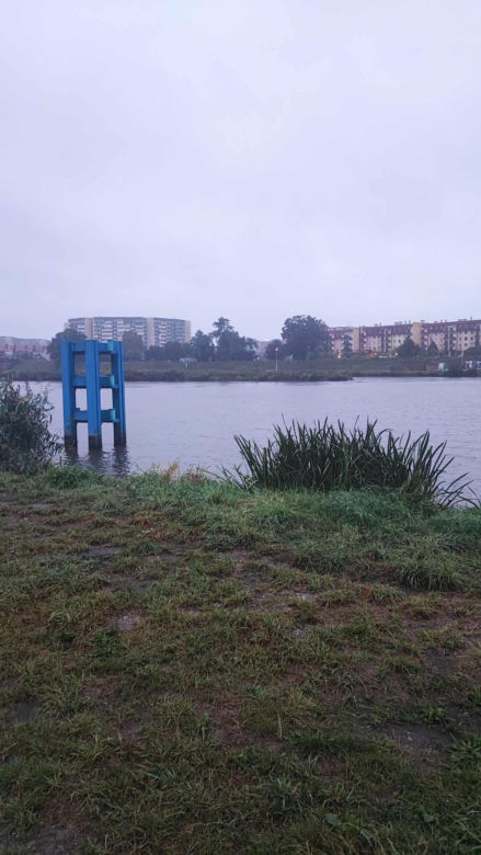 Fala opadów we Wrocławiu. "Widać zwiększony przepływ wody" 