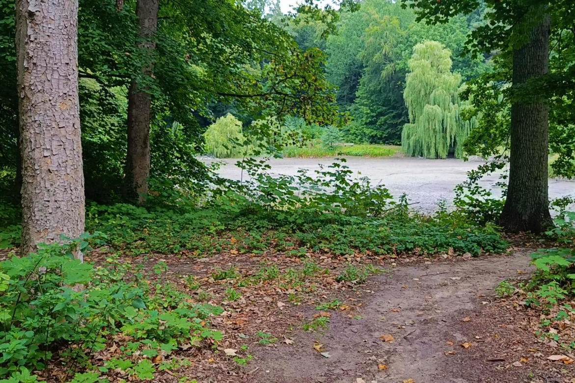 Wyschnięty Staw Wędkarski w Szczecinie
