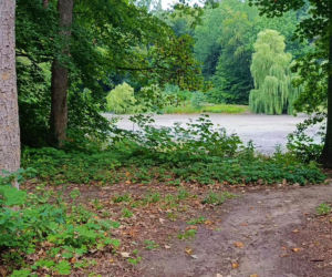 Wyschnięty Staw Wędkarski w Szczecinie