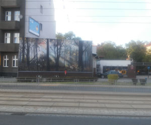 Leśny mural we Wrocławiu