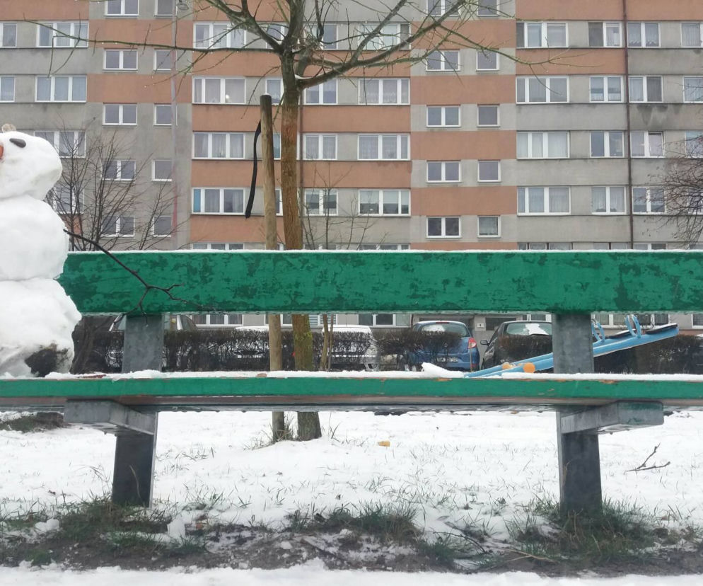 Zima na Popowicach we Wrocławiu