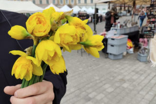 ESKA Lublin rozdawała żonkile na wiosnę